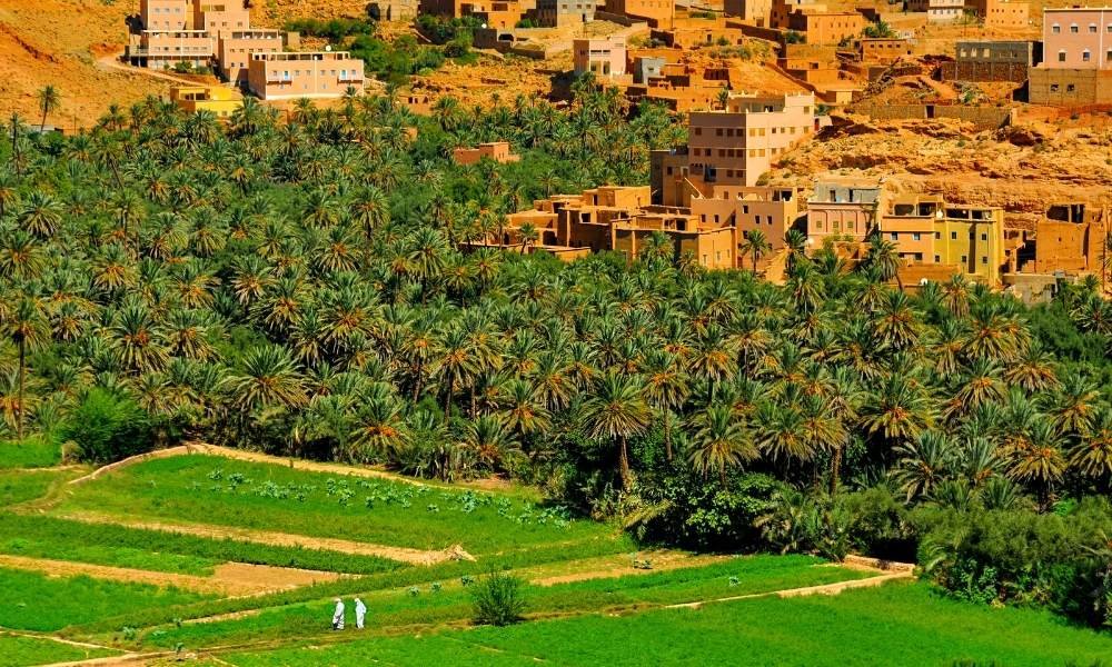 4 days desert tour from fes