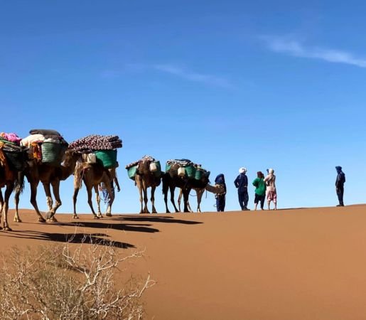 morocco desert tours